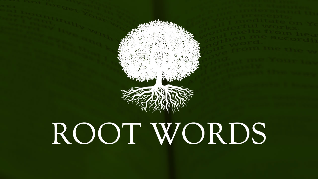 Root Words Archives  First North